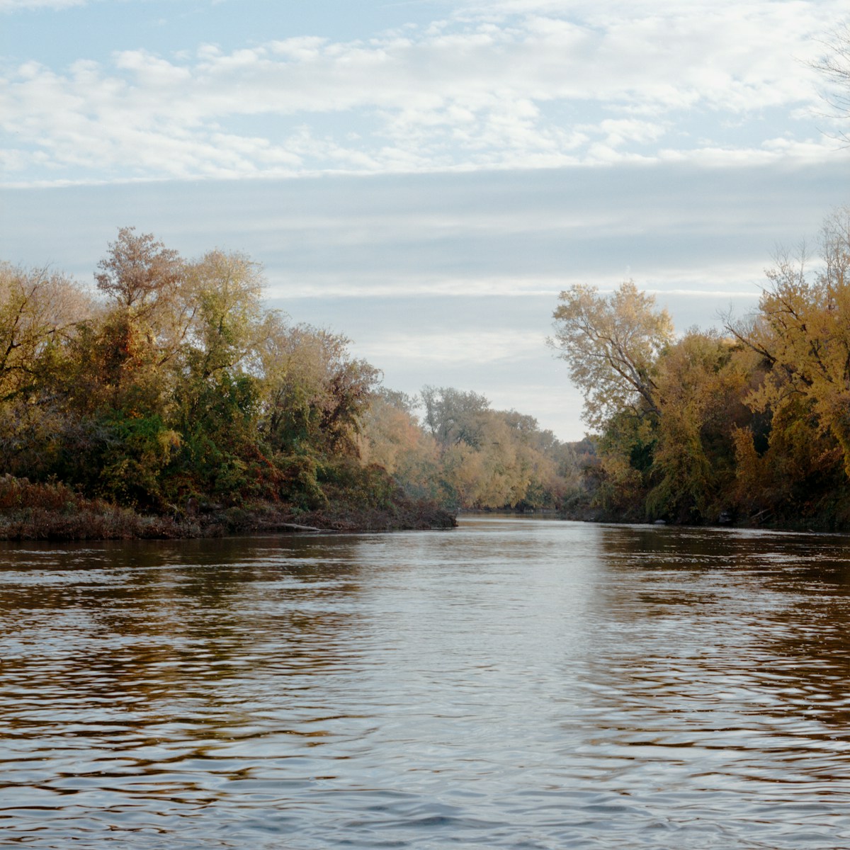 a body of water with trees around it